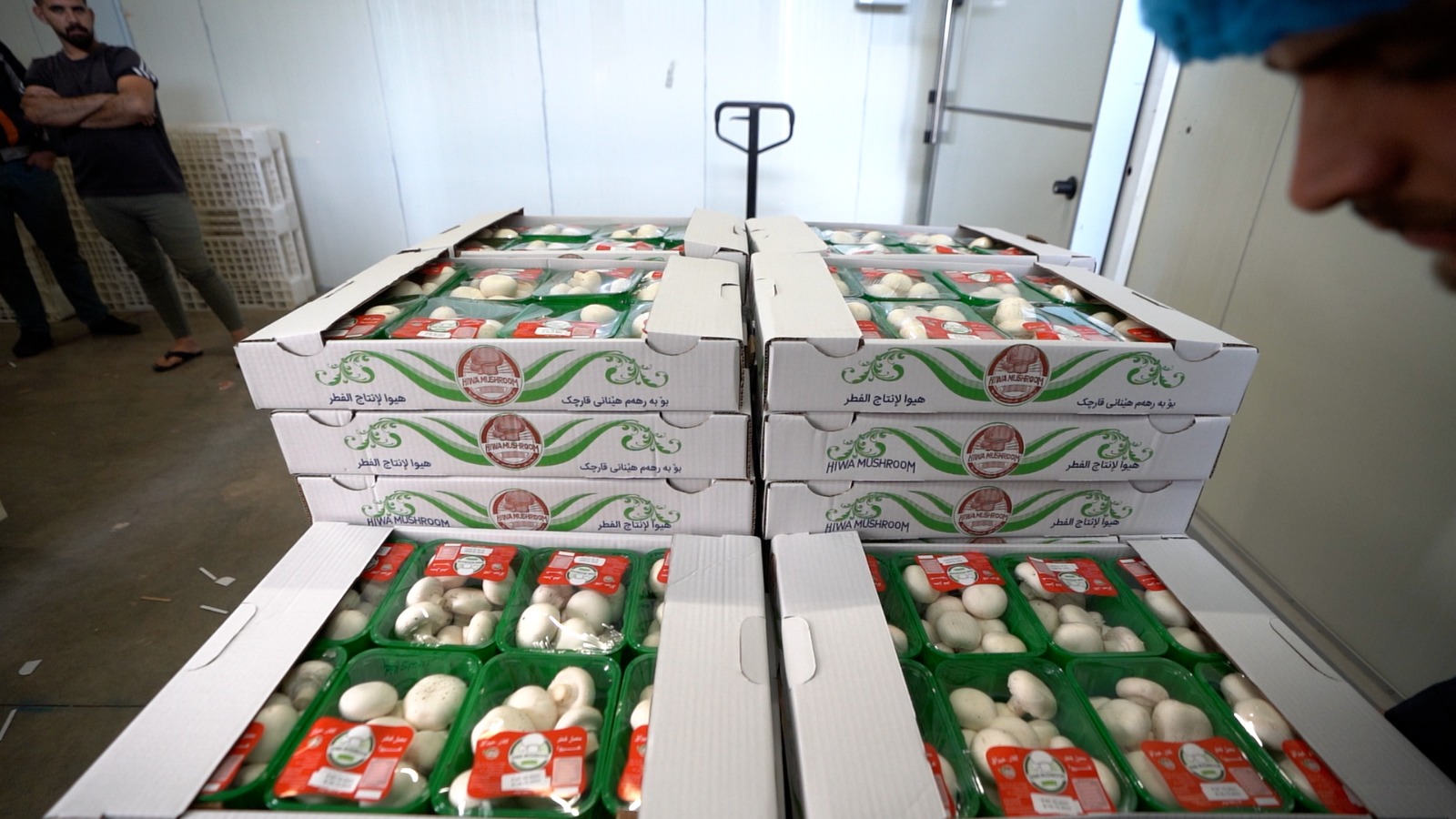 Ready for delivery
